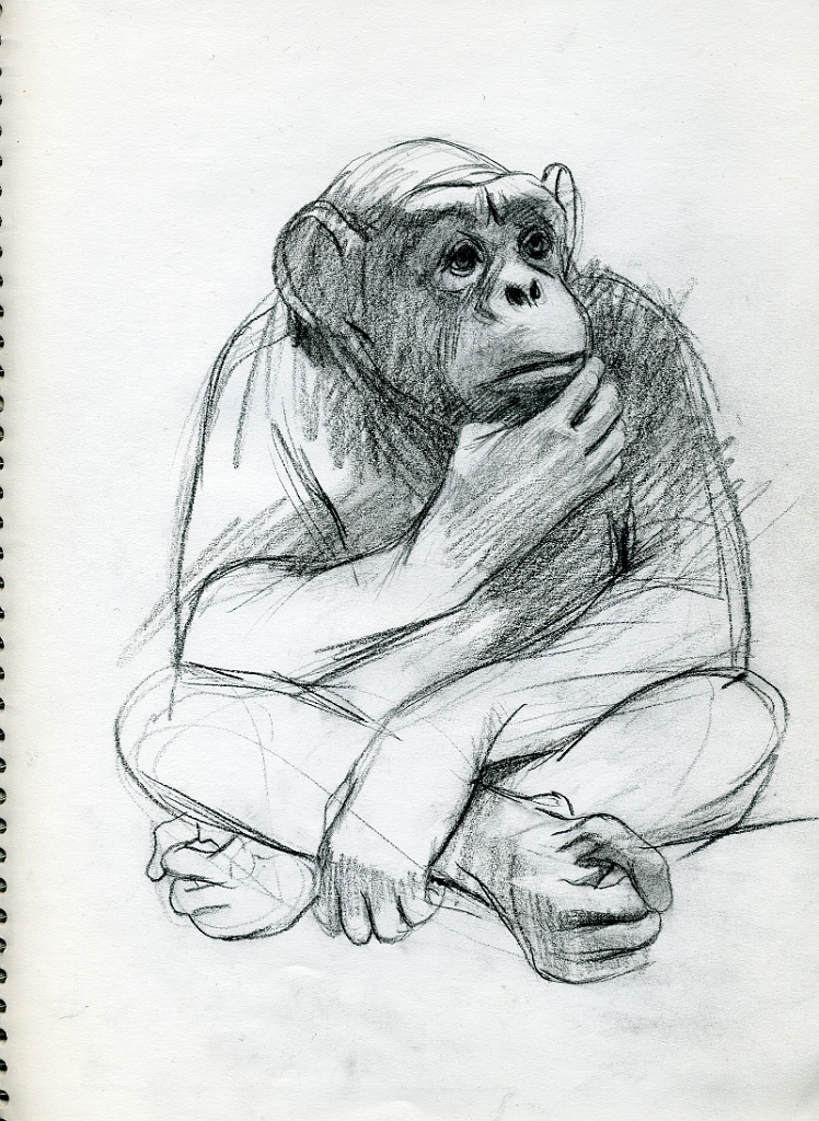 By Dan Gheno,  