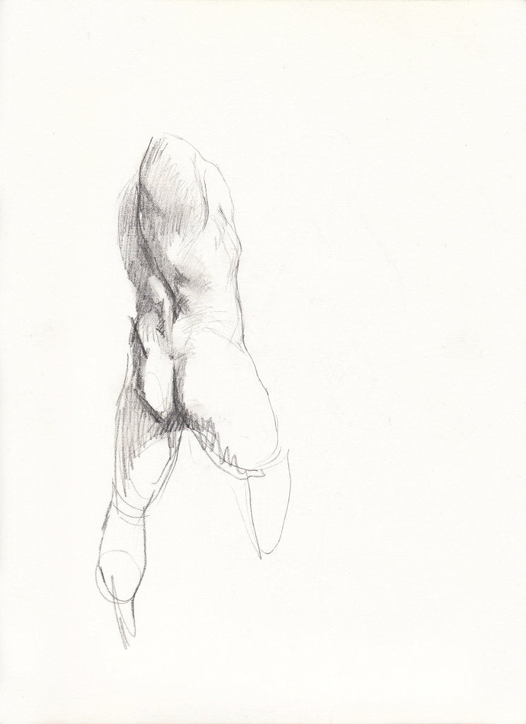 By Dan Gheno, 