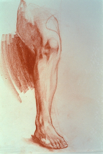 leg study.jpg (305542 bytes)