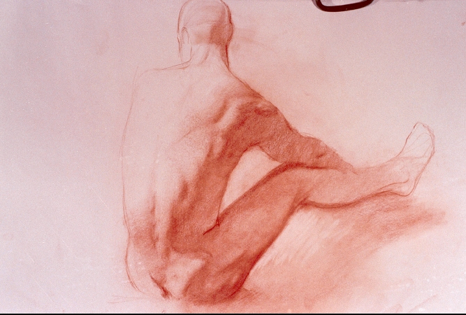 mtstudy.jpg (1071153 bytes)