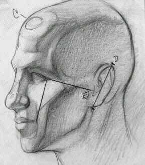 facecrop3.jpg (831328 bytes)